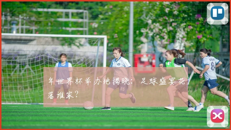 年世界杯举办地揭晓：足球盛宴花落谁家？