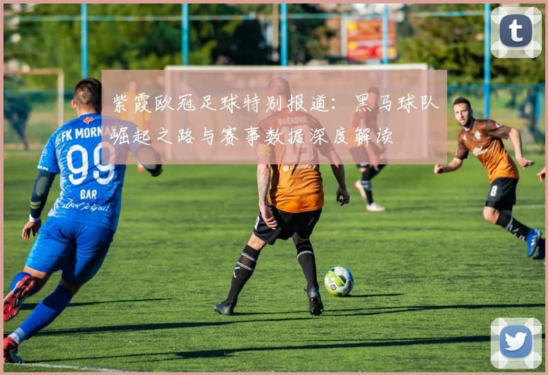 紫霞欧冠足球特别报道：黑马球队崛起之路与赛事数据深度解读