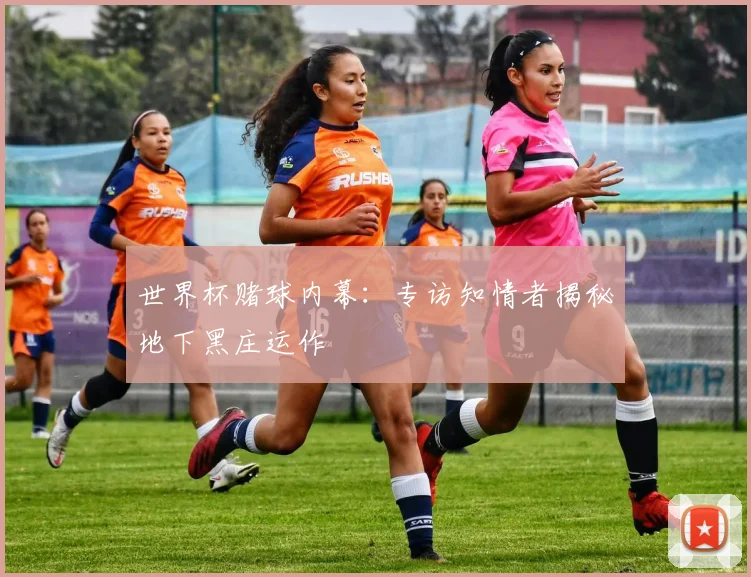 世界杯赌球内幕：专访知情者揭秘地下黑庄运作