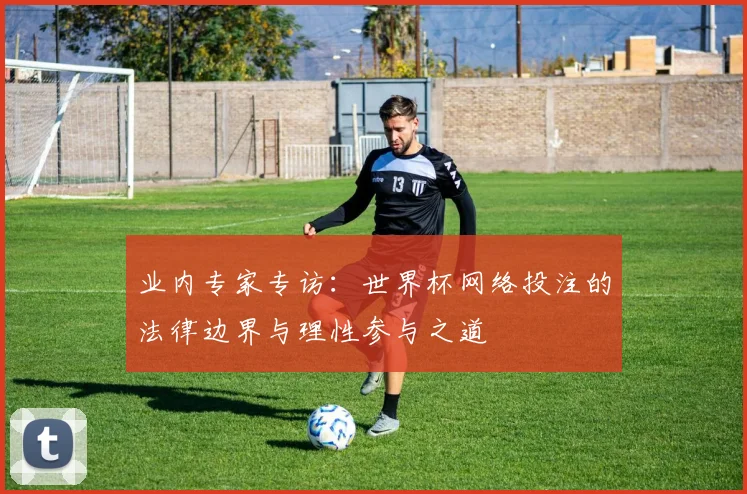 业内专家专访：世界杯网络投注的法律边界与理性参与之道