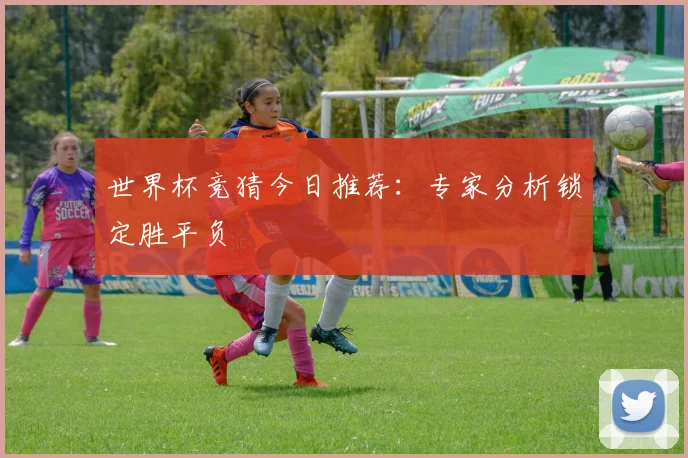 世界杯竞猜今日推荐:专家分析锁定胜平负