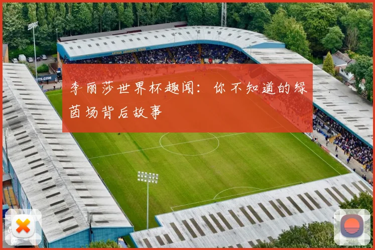 李丽莎世界杯趣闻：你不知道的绿茵场背后故事