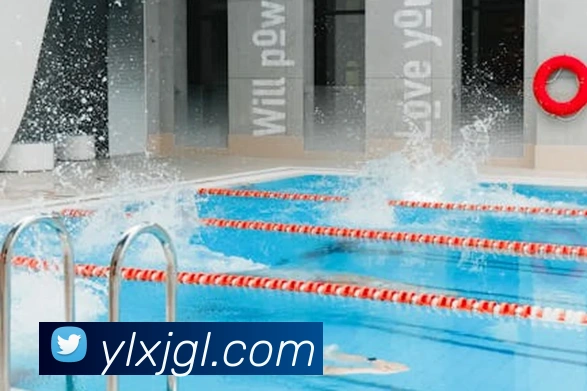 开云官方网站下载app发展历程